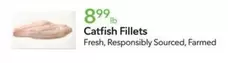 Catfish Fillets
