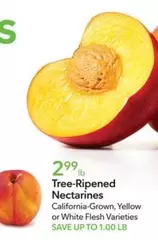 Tree-Ripened Nectarines