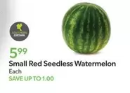 Small Red Seedless Watermelon