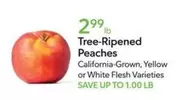 Tree-Ripened Peaches