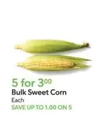Bulk Sweet Corn