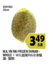 Frozen - WJL VN RI6 FROZEN DURIAN - WHOLE | WJL越南RI6冷凍榴蓮 - 整顆
