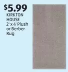 Plush - 2' x 4'  or Berber Rug