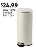 Painted Trash Can