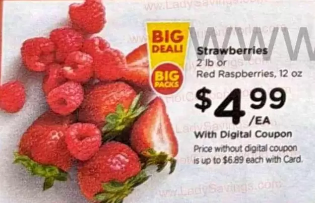Lady - Strawberries or Red Raspberries