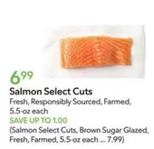 Salmon Select Cuts