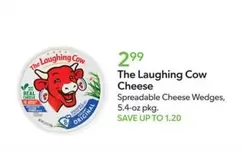 Laughing cow - Cheese