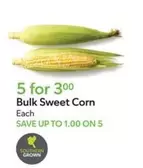 Bulk Sweet Corn