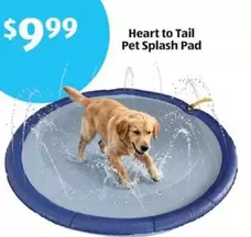 Pet - Splash Pad