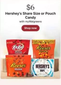 Hershey's - Share Size or Pouch Candy