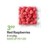 Red Raspberries