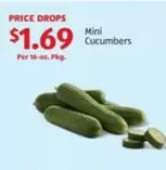 Mini Cucumbers
