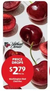 Washington Red Cherries