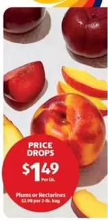 Plums or Nectarines