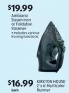 Steam Iron or Foldable Steamer