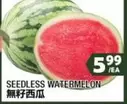 SEEDLESS WATERMELON