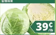 Cabbage