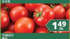 TOMATO