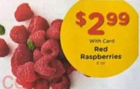 Red Raspberries