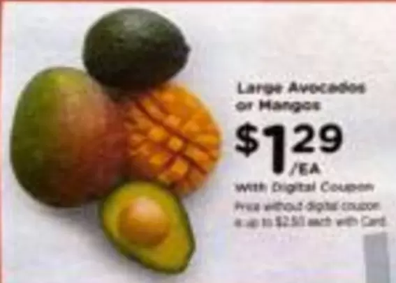 Large Avocados or Mangos