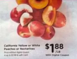 California Yellow or White Peaches or Nectarines