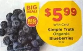 Organic Blueberries