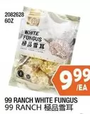 WHITE FUNGUS 2082628 60Z