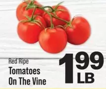Red Ripe - Tomatoes On The Vine