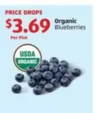 Organic Blueberries