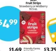 Fruit Strips
