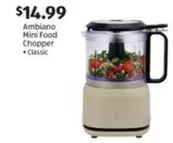 Mini Food Chopper