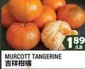 MURCOTT TANGERINE
