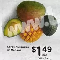 Large Avocados or Mangos