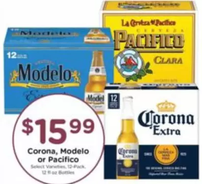 Pacifico - Corona, Modelo or