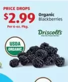 Organic Blackberries