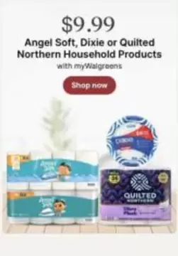 Angel Soft - Household Products