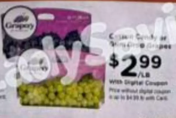 Cotton Candy or Sugar Grape