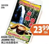 Jasmine Rice 1601036