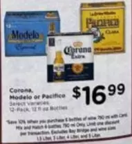 Modelo - Corona, or Pacifico