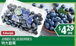 JUMBO BLUEBERRIES