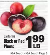 Black or Red Plums