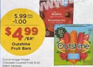Frozen - Fruit Bars