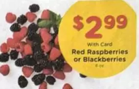 Red Raspberries or Blackberries