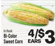 Bi-Color Sweet Corn