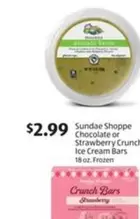 Frozen - Sundae Shoppe Chocolate or Strawberry Crunch Ice Cream Bars