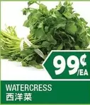 WATERCRESS