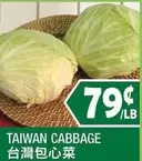 TAIWAN CABBAGE