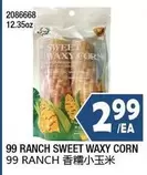SWEET WAXY CORN