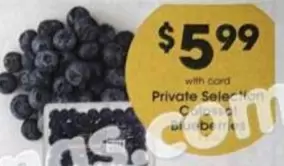Colossal Blueberries