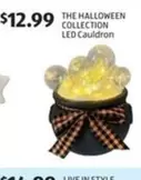 THE HALLOWEEN COLLECTION LED Cauldron